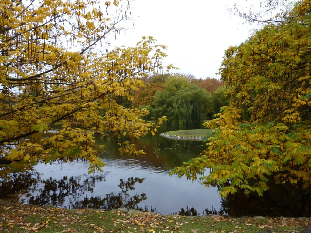 National Park Malmö nature autumn fall trees pond lake